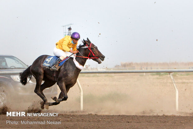 Horse racing competitions in N Iran