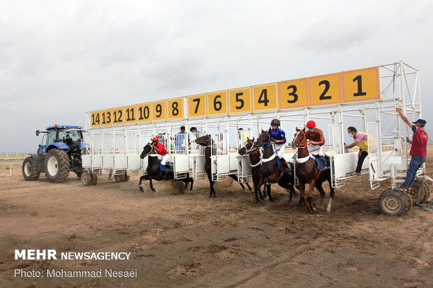 Horse racing competitions in N Iran