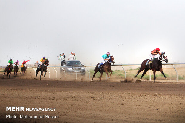 Horse racing competitions in N Iran