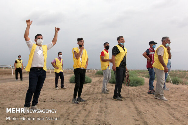 Horse racing competitions in N Iran