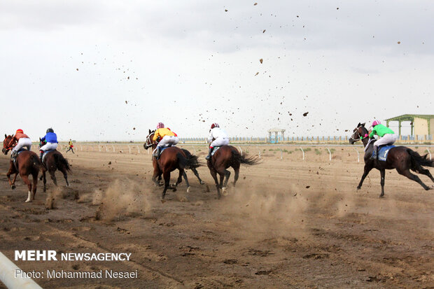 Horse racing competitions in N Iran