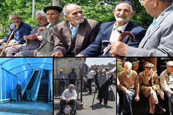 ۳۹ هزار مددجوی تهرانی سالمند هستند