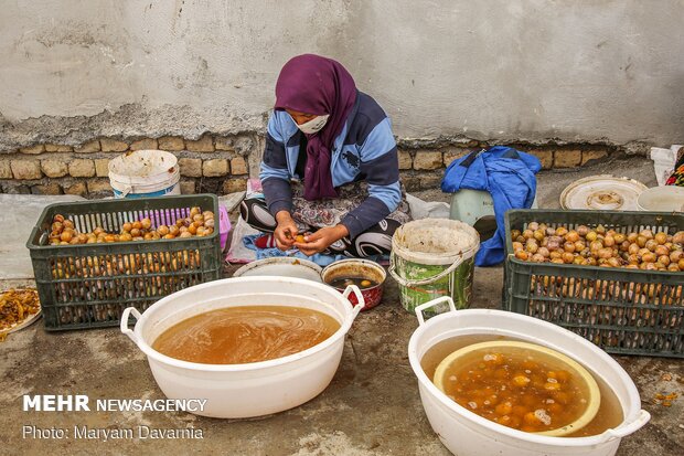 Harvesting, drying plums in NE Iran