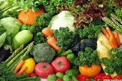 Food, agri. productions' export vol. up by 9% in 5 months