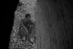 «دشت خاموش» به اکران آنلاین پیوست/ نمایش بهترین فیلم ونیز