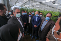 Agriculture minister's trip to S. Khorasan
