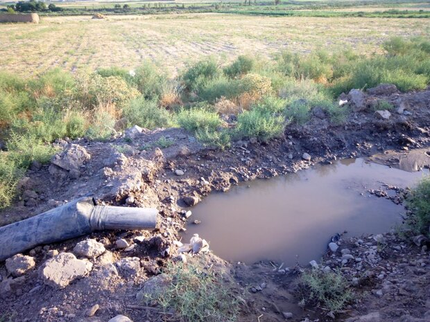 کشف رود همچنان در کما