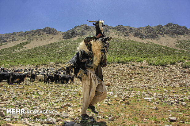 Bakhtiari nomadic lifestyle
