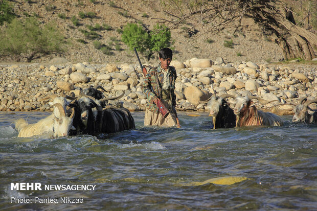 Bakhtiari nomadic lifestyle
