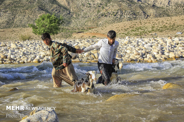 Bakhtiari nomadic lifestyle
