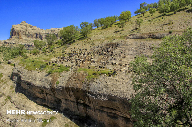 Bakhtiari nomadic lifestyle
