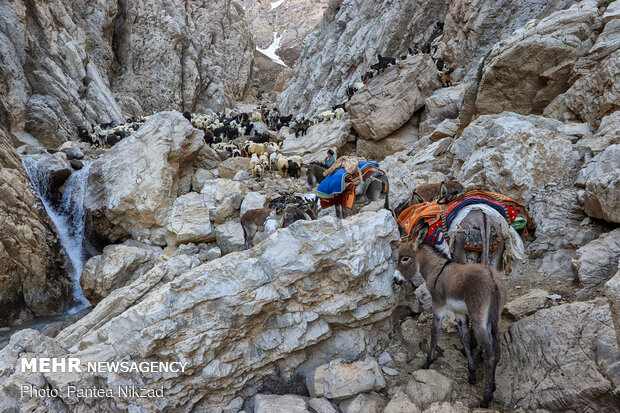 Bakhtiari nomadic lifestyle
