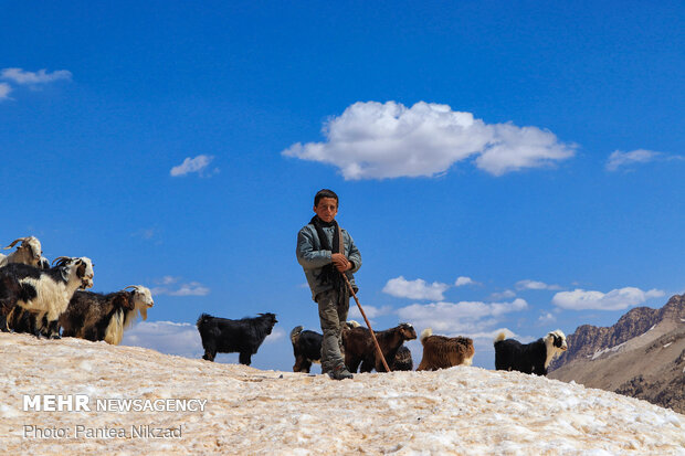 Bakhtiari nomadic lifestyle
