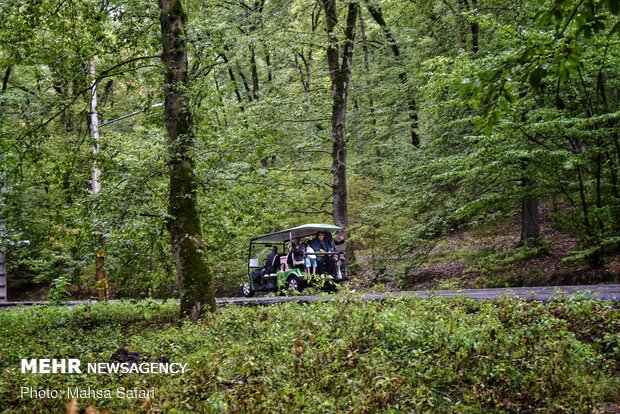 Astonishing scenery of autumn in Hyrcanian forests
