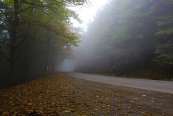 Asalem to Khalkhal, spectacular forest road in Iran