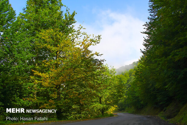 Asalem to Khalkhal, spectacular forest road in Iran
