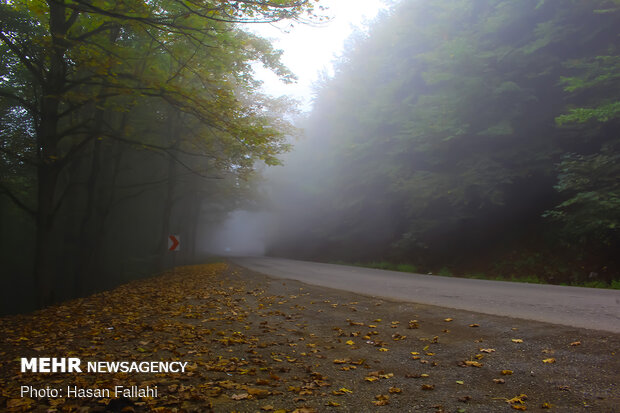 Asalem to Khalkhal, spectacular forest road in Iran
