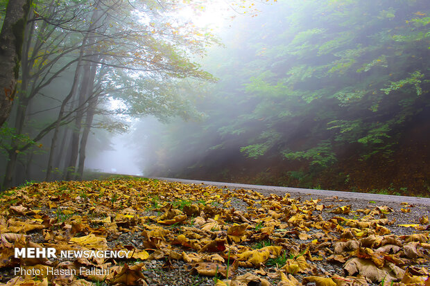 Asalem to Khalkhal, spectacular forest road in Iran
