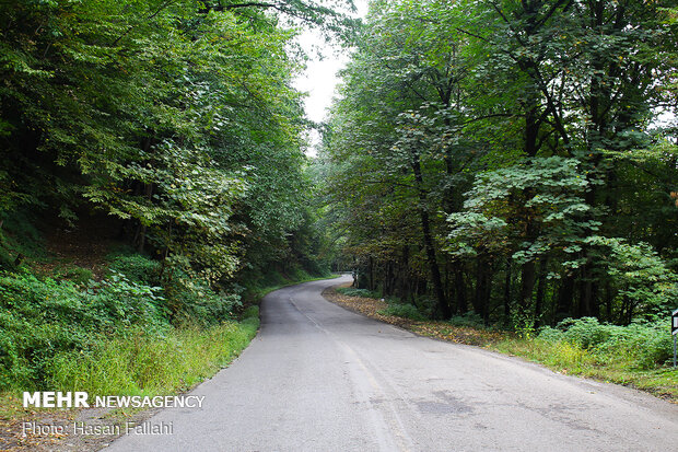 Asalem to Khalkhal, spectacular forest road in Iran
