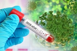ناروے کی حکومت کا مفت کورونا وائرس کی ویکسین فراہم کرنے کا اعلان