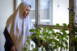 بحران افزایش سالمندی در نائین/از هویت‌بخشی تاریخی غافل شده‌ایم