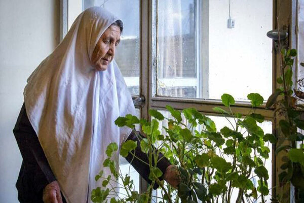 بحران افزایش سالمندی در نائین/از هویت‌بخشی تاریخی غافل شده‌ایم