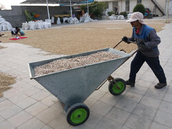 ایجاد مکان موقت برای ساماندهی کارگران فصلی در رفسنجان