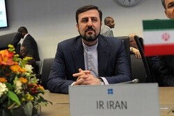 Iran's envoy reacts to IAEA chief's comments
