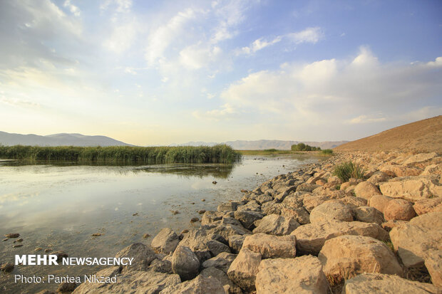 تالاب گندمان