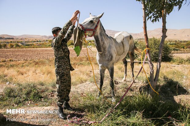 کاروان سوارکاری بسیج ورزشکاران خراسان شمالی