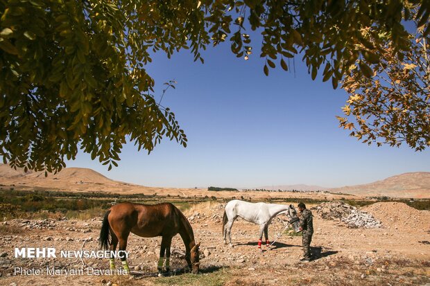 کاروان سوارکاری بسیج ورزشکاران خراسان شمالی