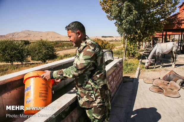 کاروان سوارکاری بسیج ورزشکاران خراسان شمالی