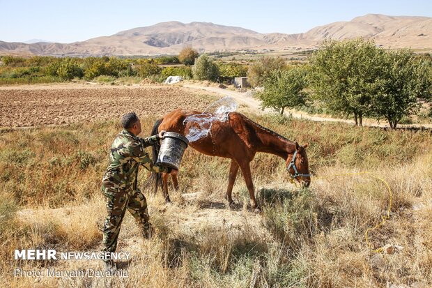 کاروان سوارکاری بسیج ورزشکاران خراسان شمالی