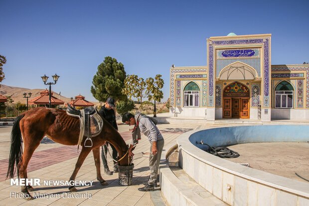 کاروان سوارکاری بسیج ورزشکاران خراسان شمالی