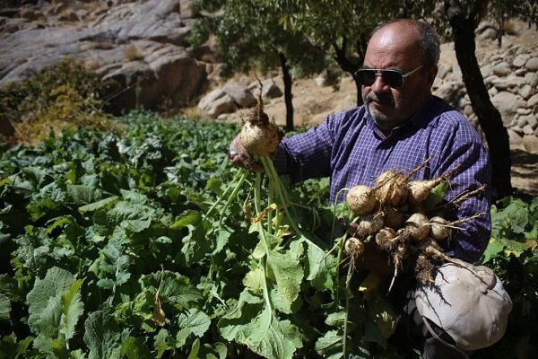 امید و انگیزه نابینایی را زمین‌گیر کرد