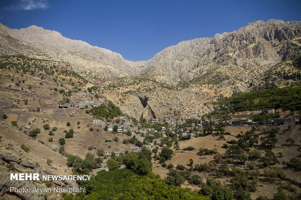 کشت باغات در ۷۵۰ هکتار از اراضی شیبدار شهرستان دره شهر