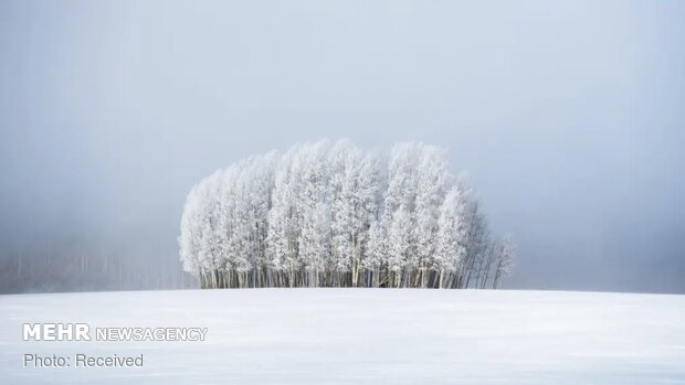 برترین تصاویر ۲۰۲۰ با موضوع آب و هوا