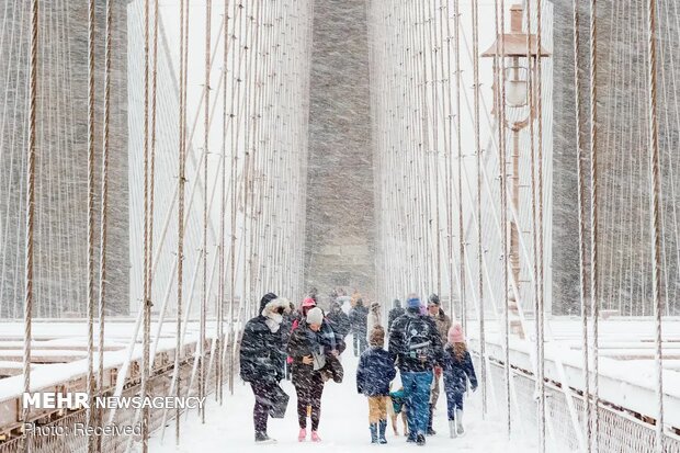 برترین تصاویر ۲۰۲۰ با موضوع آب و هوا