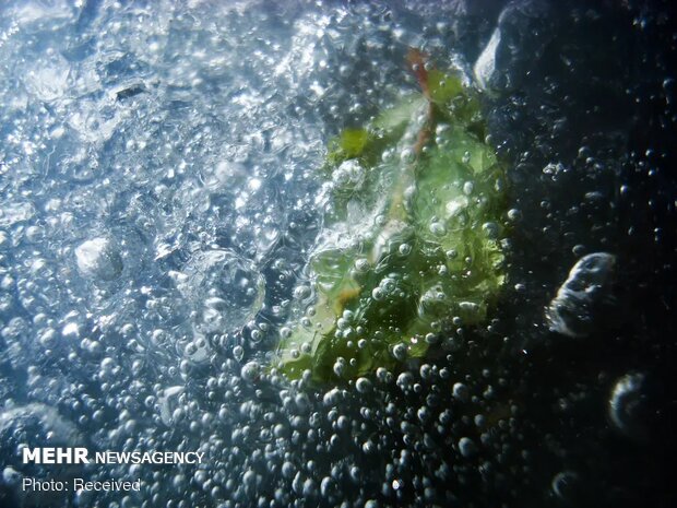 برترین تصاویر ۲۰۲۰ با موضوع آب و هوا