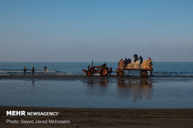 Hazar Denizi'nde balıkçıların "ağ mesaisi" başladı