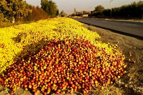 دپوی غیربهداشتی سیب در جاده‌های آذربایجان‌غربی