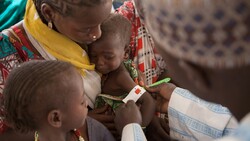 تعداد تلفات ناشی از شیوع تب لاسا در نیجریه به ۱۶۶ نفر رسید