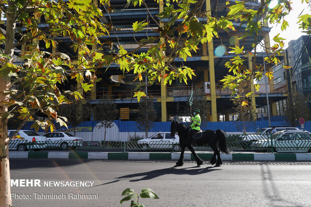 “Mounted Police Horse” parades on Tehran’s Vali-e Asr Ave.