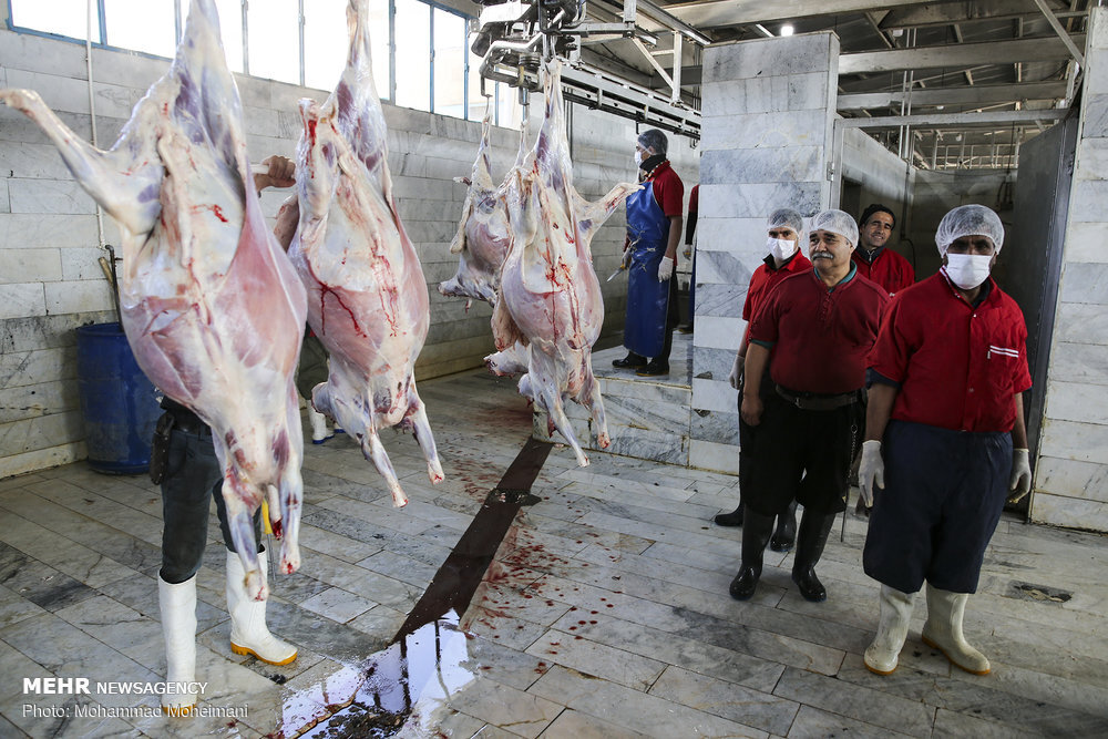 دلایل گرانی گوشت در بازار / اختلال در حمل و نقل و افزایش کرایه‌ها