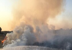 شعله ور شدن  مجدد حریق در برخی مناطق میانکوه اردل