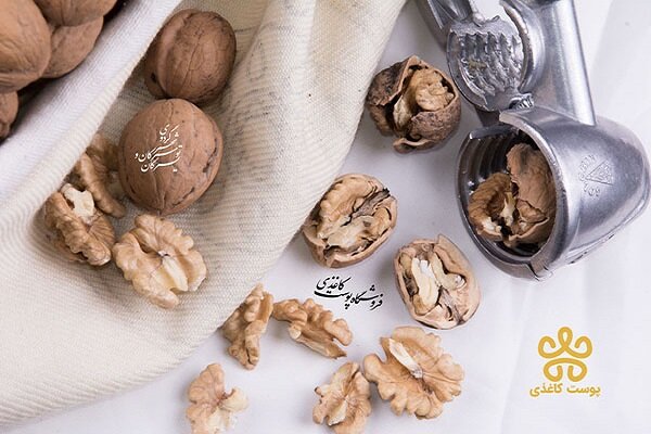 هرگز بدون ضمانت، گردو نخرید!