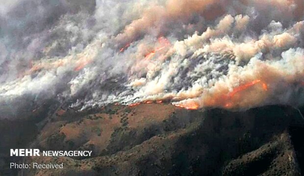 آتش‌سوزی جنگل‌های کالیفرنیا به مناطق مسکونی رسید