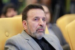 Dialogue key to settling longstanding tensions: Vaezi