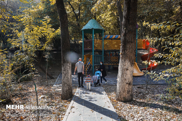 جمال الخريف في حدائق طهران