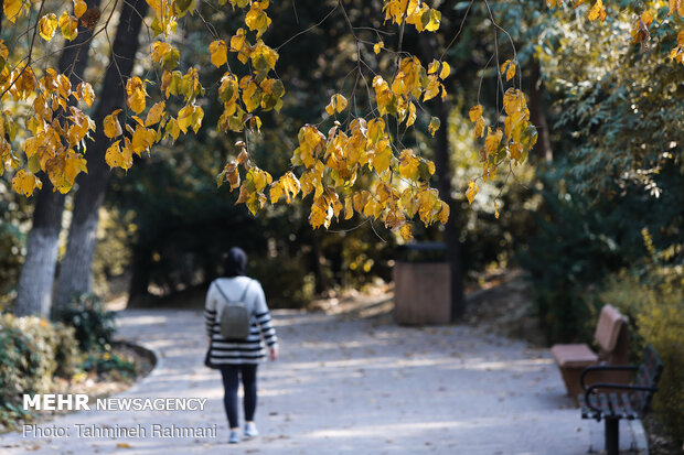 جمال الخريف في حدائق طهران